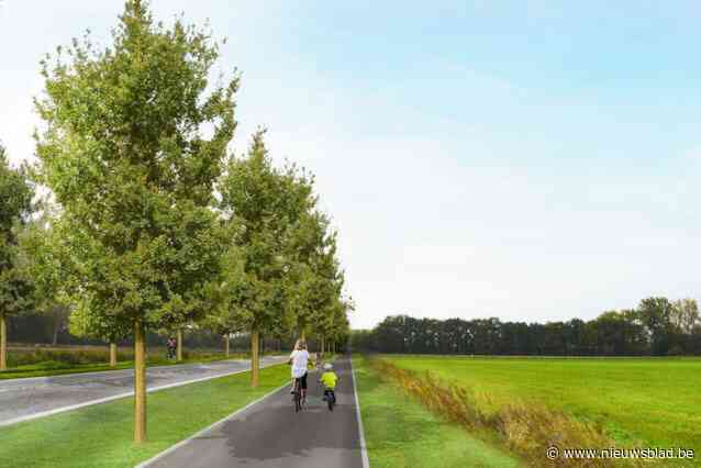 Provincie kapt 200-tal bomen voor aanleg veiliger fietspad: “Ter compensatie worden 149 nieuwe exemplaren geplant die alle groeikansen krijgen”