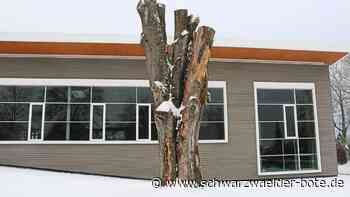 Beschluss in Dobel:: Blutbuche-Torso kommt jetzt weg