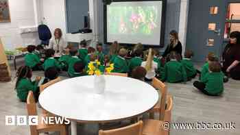 End of Sheffield birth bulge could see fall in school demand - report