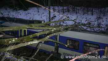 Baum stürzt auf Zug – Bahnstrecke zwischen Teisendorf und Traunstein wieder freigegeben