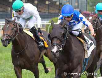 Experienced figures in marathon despite lengthy layoff - Daily Racing Form