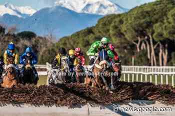 PISA: GIORNATA ANCHE CON LE SIEPI GIOVEDI' 2 FEBBRAIO 2023 - Brontolo dice la sua