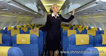 Ex-Ryanair flight attendant reveals the strangest items passengers steal as 'souvenirs'