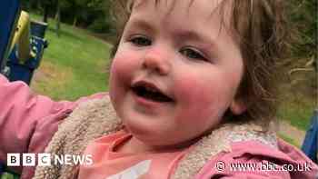 Milton Keynes fatal dog attack on girl 'tragic isolated incident'