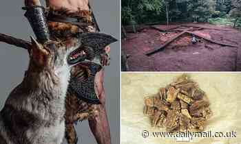 Scientists find first solid evidence that Vikings brought dogs and horses to the UK