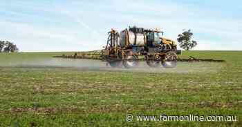 Heavy weed burden puts pressure on spray program