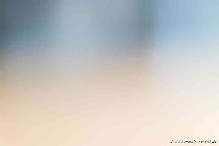 Verteidigungsminister in Augustdorf: Panzerbrigade gibt 14 Leopard 2 ab und ist damit fast blank