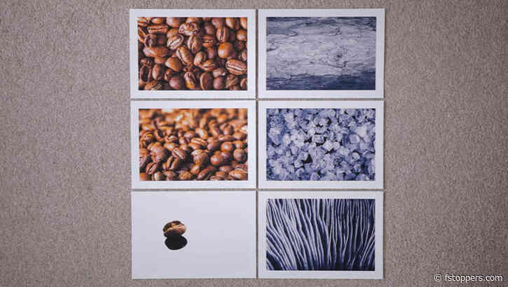 A Beginner's Guide to Macro Photography