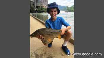 The Rise of the Lowly Carp - Lootpress