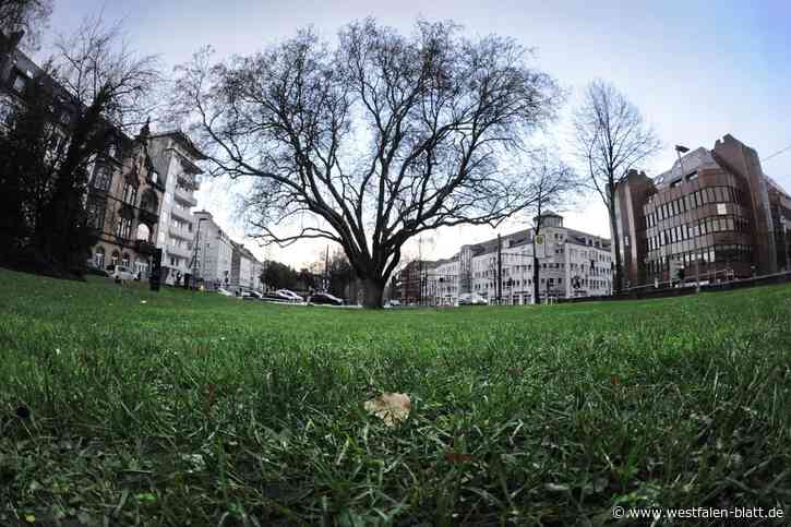 Bielefeld prüft die „Pille für die Taube“