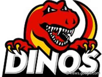 Calgary Dinos sweep Crowchild Classic to extend record hockey run - Wetaskiwin Times Advertiser