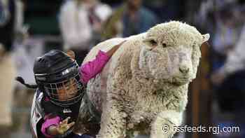 Reno Rodeo's 2023 Mutton Bustin' sign-ups open until Feb. 5