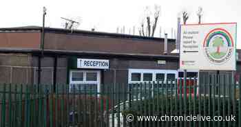 Gateshead Primary school achieves UNICEF Gold award for respecting people's rights