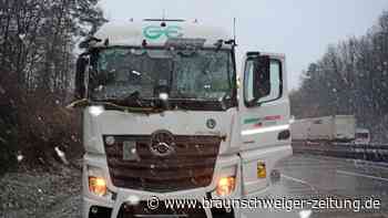 „Fleißiger Schutzengel“ auf A7: Lkw kracht gegen umgekippten Baum