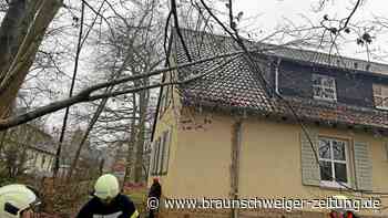 Wind und Regen – Baum stürzt auf Dach in Mariental