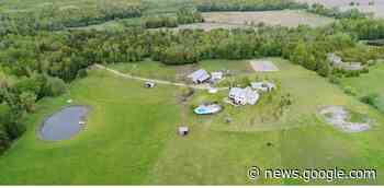 Pegasus Animal Sanctuary in Port Perry looking for new volunteers - durhamradionews.com