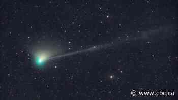 There's a new comet in the sky. Here's how you can see it for yourself tonight