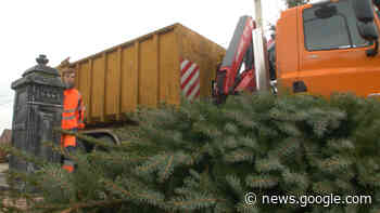 Kerstboom laten ophalen in Herentals: afspraak maken - RTV