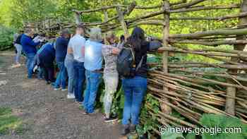 Vogelkijkwand aan de Poldervaart wordt vervangen | Dieren op ... - Westlanders.nu