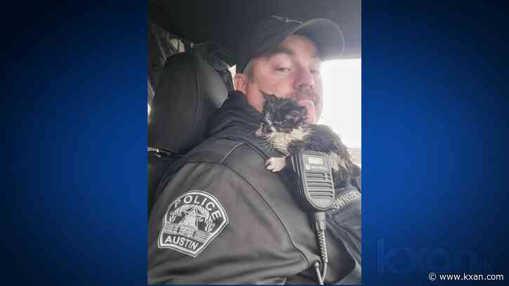 Austin officer scoops up cold, abandoned kitten during ice storm