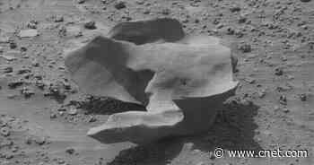 This Mars Rock Looks Like a Funky Chicken, and I Love It     - CNET