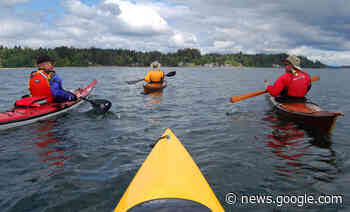Next Comox Paddlers Club meeting discusses safety, emergency ... - Comox Valley Record