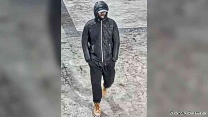Police seek public assistance in northwest Calgary sexual assault