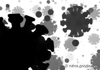 COVID-19 continues to increase in Prince Albert according to ... - Prince Albert Daily Herald