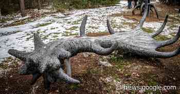 Gigantisch gewei met kraan langs kunstroute Groene Lint geplaatst - AD