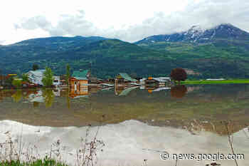 'Absolutely great news': Salmon Arm councillors thrilled with ... - Salmon Arm Observer