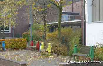 Rheinberg: Grüne wollen gegen Vandalismus an Schulen vorgehen - Rheinische Post