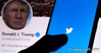 Twitter Users Can Now Appeal Account Suspensions, Under New Standards     - CNET