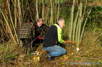 Winterwerkdag in de natuur - Gemerts Nieuwsblad