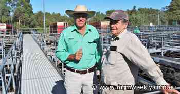 Increased live export interest at Boyanup