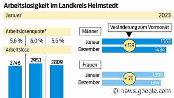 Die Arbeitslosenquote im Landkreis Helmstedt ist gestiegen ... - Braunschweiger Zeitung