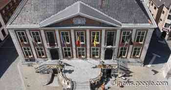 Diest organiseert Jobbeurs op 2 februari | Diest | hln.be - Het Laatste Nieuws