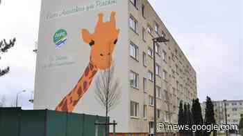 Darum reißt die AWG Parchim den Wohnblock vom behinderten Ben ... - svz – Schweriner Volkszeitung