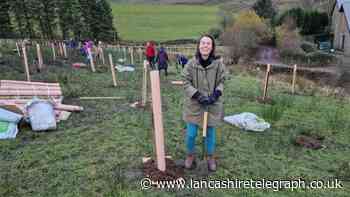 Rossendale Council appealing for volunteers to help plant trees