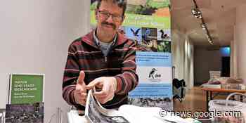 Aktion der Naturschützer aus Hildesheim: Nisthilfen für Vögel - www.hildesheimer-allgemeine.de