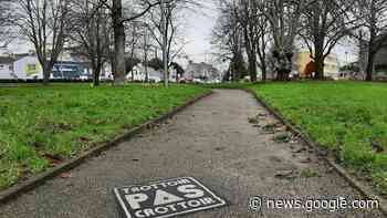 Attaquée par un chien à Brest : "Un moment très traumatisant" - actu.fr