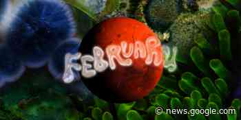 February 2023 Monthly Horoscope by Zodiac Sign, Astrology Meaning - Cosmopolitan