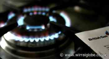 British Gas stops 'force' installing of prepayment meters