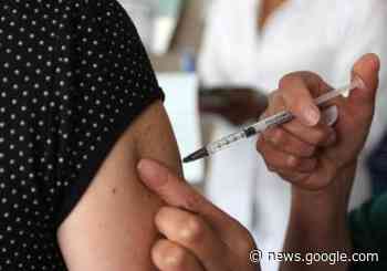 Se han aplicado más de 900 mil vacunas contra influenza - Ensenada.net