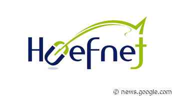 Deutsche Fahrmeisterschaften 2023 in Lähden, Bösdorf ... - Hoefnet