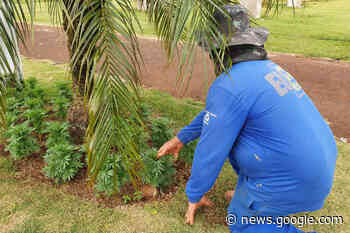 Custodiados de Cascavel trabalham na preparação do 35° Show ... - aen.pr.gov.br