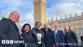 Essex mental health deaths: Minister calls for staff evidence