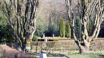 Zu viele Menschen sterben vorzeitig in Deutschland - Cuxhaven ... - Cuxhavener Nachrichten / Niederelbe-Zeitung
