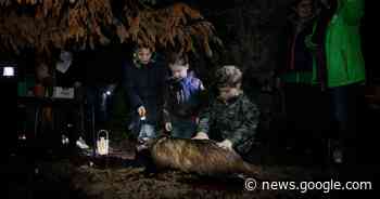 IVN Cranendonck gaat naar dieren speuren in het donker - Het Laatste Nieuws