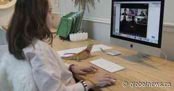 Some Ontario boards plan to keep virtual learning even if province doesn’t require it