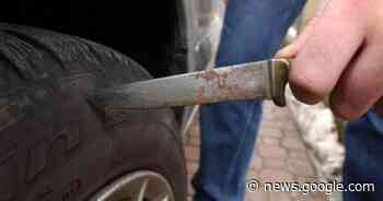 Vandalo fuori controllo, l'incubo prosegue - La Voce di Rovigo - La Voce di Rovigo